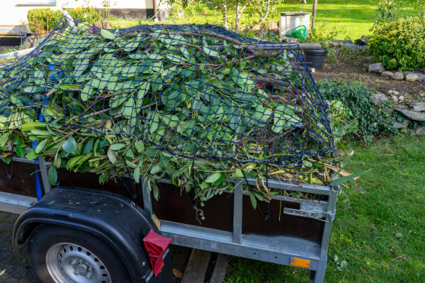 Best Construction Debris Removal  in Manistique, MI
